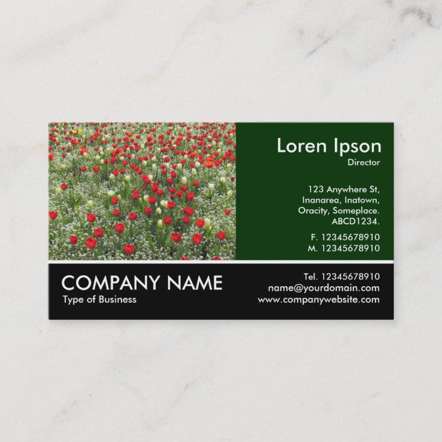 Carte De Visite Photo Pied - Lit de Tulipes (Devant)