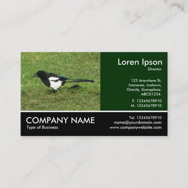 Carte De Visite Photo Pied - Magpie Européenne (Devant)