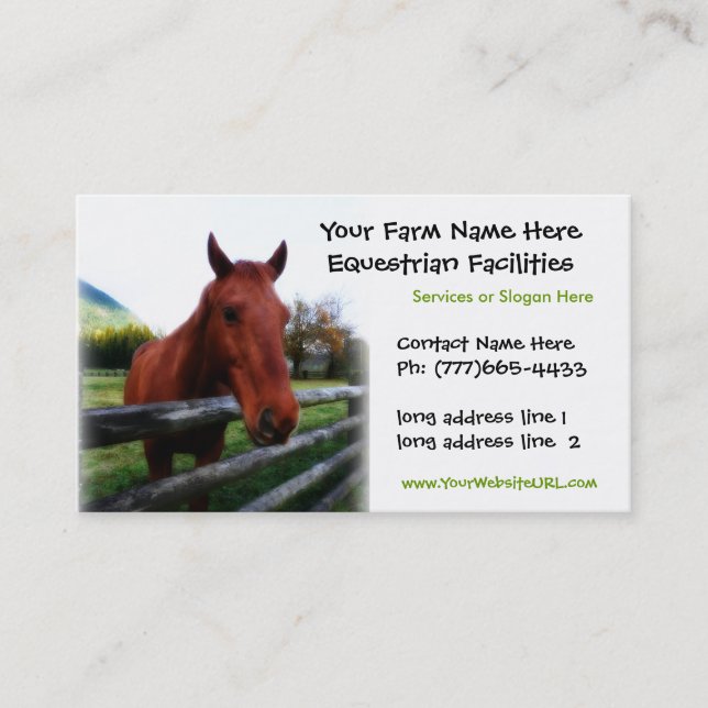 Carte De Visite Photo quarte de cheval pour des services équestres (Devant)