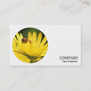 Carte De Visite Photo ronde - Abeille occupée