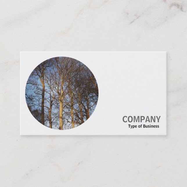 Carte De Visite Photo ronde - Arbres au début du printemps (Devant)