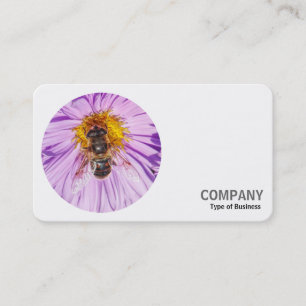 Carte De Visite Photo ronde - Bee miel sur une marguerite de Micha