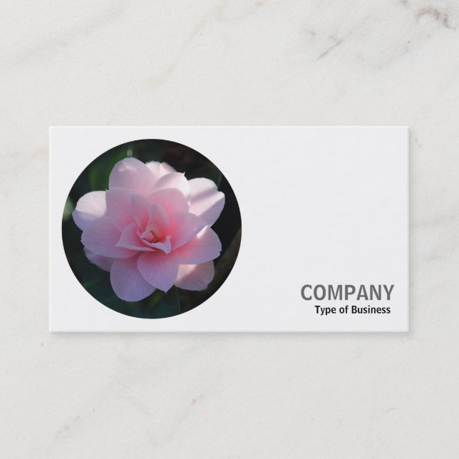 Carte De Visite Photo ronde - Camellia rose (Devant)