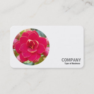 Carte De Visite Photo ronde - Kalanchoe