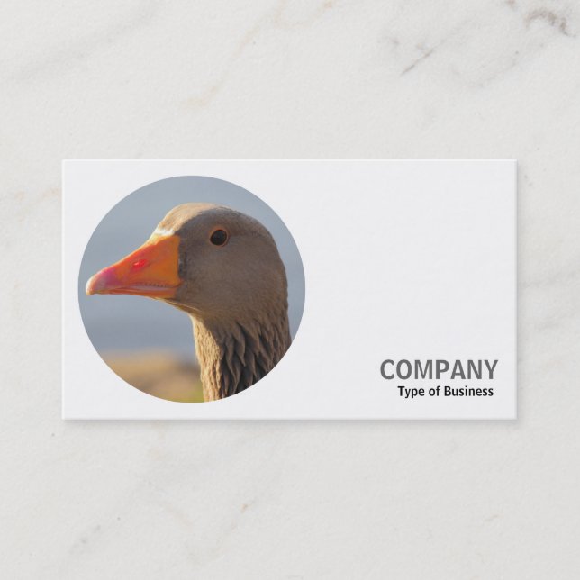 Carte De Visite Photo ronde - Oie de Greylag (Devant)