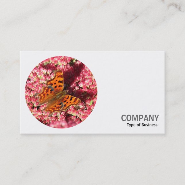 Carte De Visite Photo ronde - Papillon Comma sur Sedum (Devant)