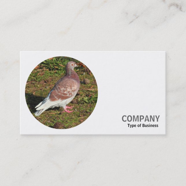 Carte De Visite Photo ronde - Pigeon rouge (Devant)