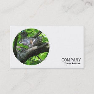 Carte De Visite Photo ronde - regardée depuis les arbres