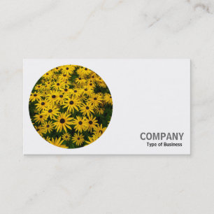 Carte De Visite Photo ronde - Rudbeckias