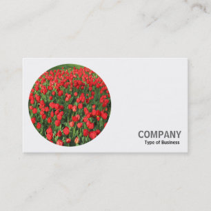 Carte De Visite Photo ronde - Tulipes rouges 01