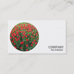 Carte De Visite Photo ronde - Tulipes rouges 02