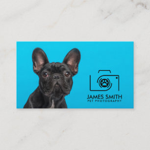 Carte De Visite Photographe animal - Photographie animale