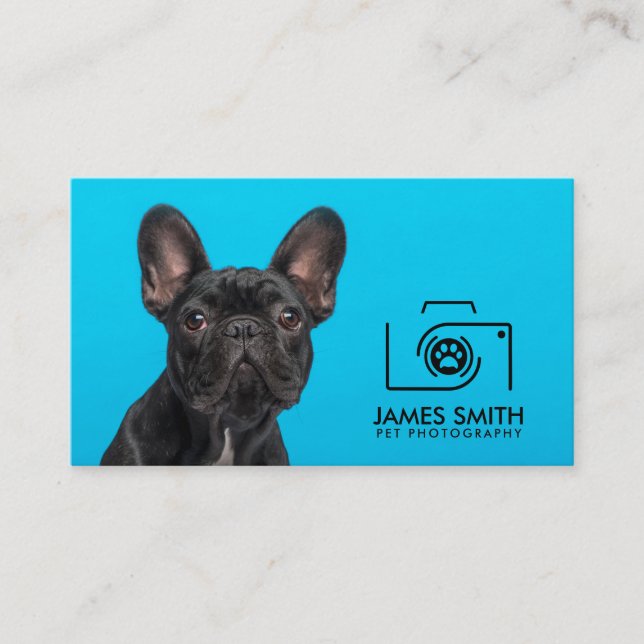 Carte De Visite Photographe animal - Photographie animale (Devant)