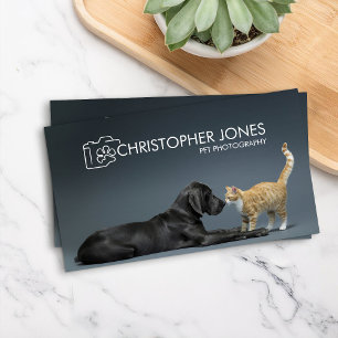 Carte De Visite Photographe animal - Photographie animale