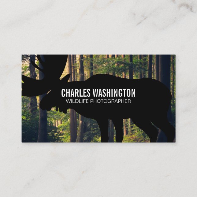 Carte De Visite Photographe de Wild Life | Extérieur (Devant)