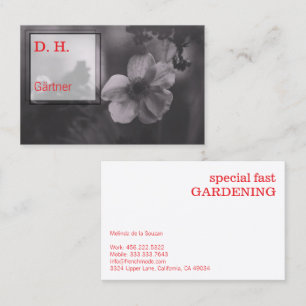Carte De Visite Photographie artistique fine jardinage