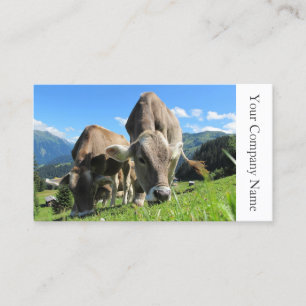 Carte De Visite Photographie de pâturage heureuse de vaches -