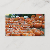 Photographie de récolte d'automne des citrouilles