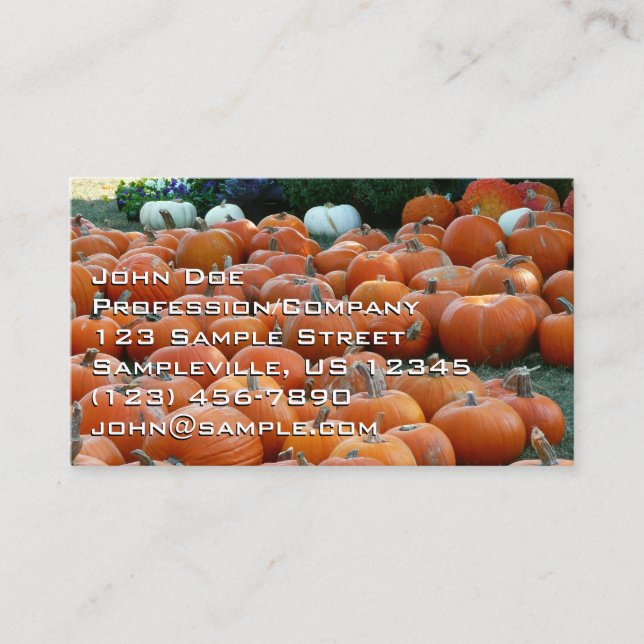 Carte De Visite Photographie de récolte d'automne des citrouilles  (Devant)