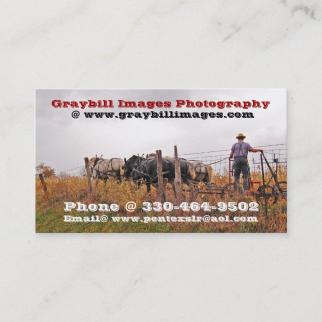 Carte De Visite Photographie d'images de Graybill (Devant)