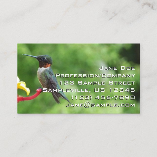 Carte De Visite Photographie d'oiseau de colibri à gorge rubis (Devant)