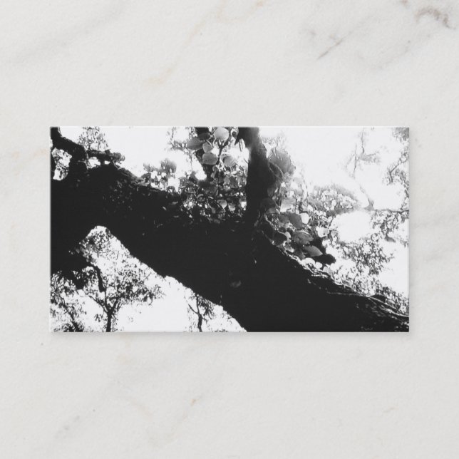 Carte De Visite Photographie noire et blanche d'arbre de lumière (Devant)