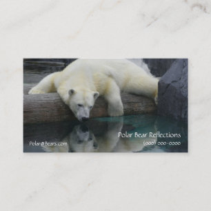 Carte De Visite Photographie Ours Polar