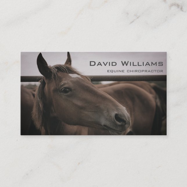 Carte De Visite Physiothérapeute du cheval équin (Devant)
