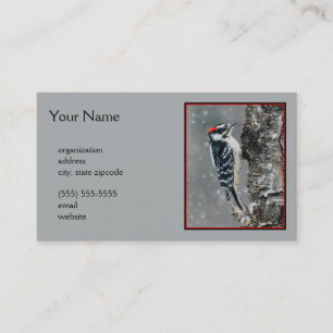 Carte De Visite Pic Downy en neige - Photo originale