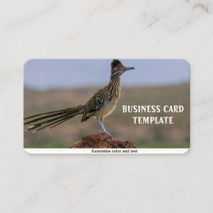 Carte De Visite Picture Nature Desert Bird Roadrunner