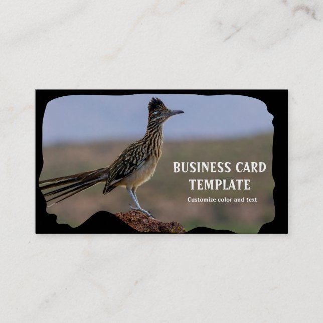 Carte De Visite Picture Nature Desert Bird Roadrunner (Devant)