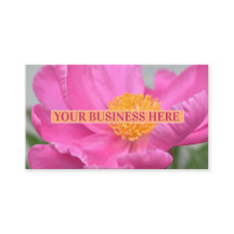 Pierre rose floral