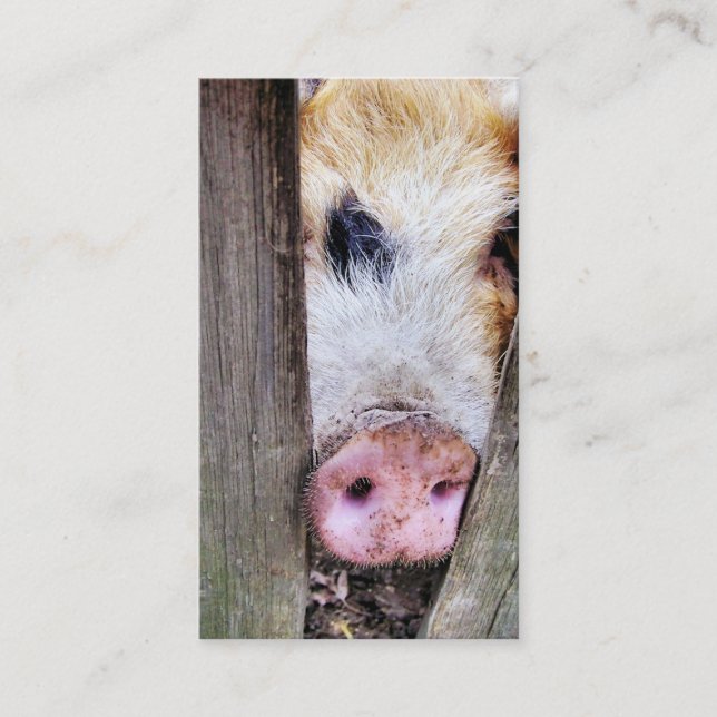 CARTE DE VISITE PIG (Devant)