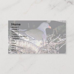 Carte De Visite Pigeon vert