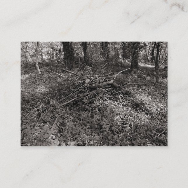 Carte De Visite Pile de bâtonnets (Devant)