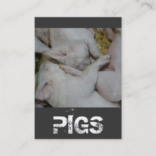 Carte De Visite Pile de ferme ou de ranch de porc de porcelets