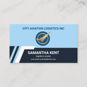 Carte De Visite Pilote logistique de ligne de piste de l'aéroport 