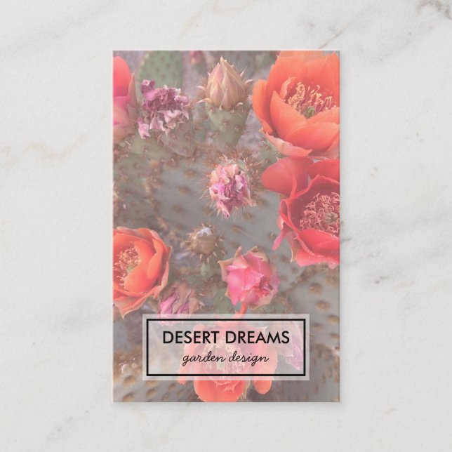 Carte De Visite Pink Cactus Flower Desert Garden Photo Voyage (Devant)