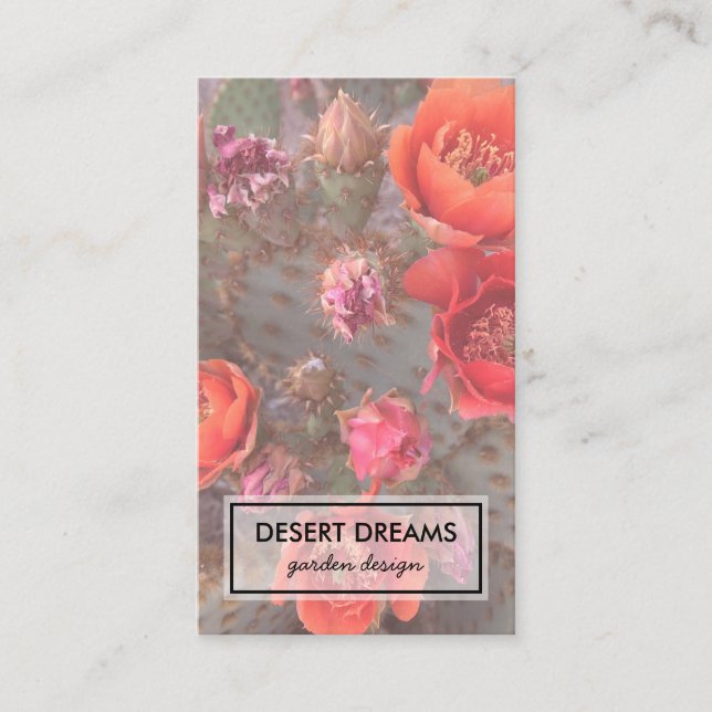 Carte De Visite Pink Cactus Flower Desert Garden Photo Voyage (Devant)