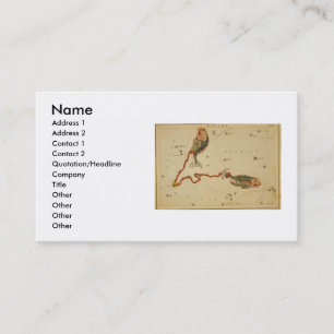 Carte de visite Pisces