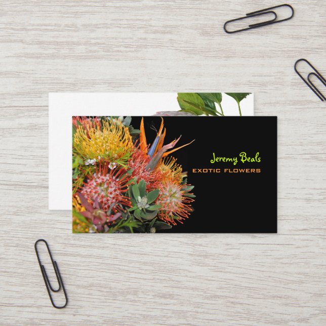 Carte De Visite Pix-Dezines maui protéa  (Devant/Arrière en situation)