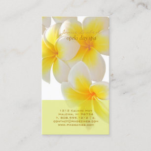Carte De Visite PixDezines Plumeria Hawaii