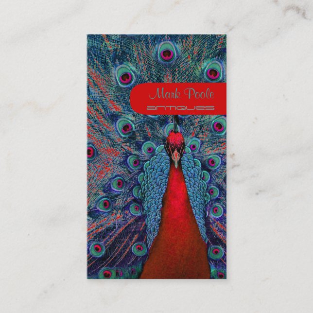 Carte De Visite PixDezines plumes de paon (Devant)