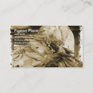 Carte De Visite Place Pigeon