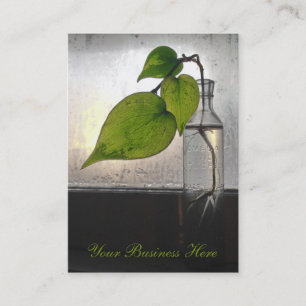 Carte De Visite Plante à racines dans une bouteille en verre clair