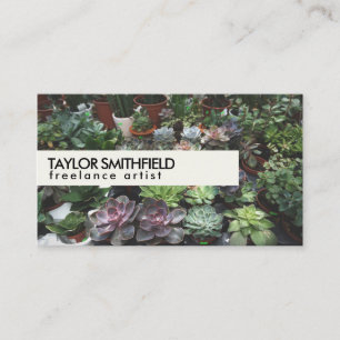 Carte De Visite Plante et jardin d'agrément succulents