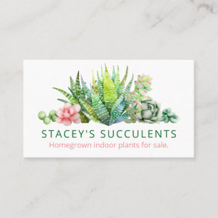 Carte De Visite Plante succulent à la maison sophistiqué