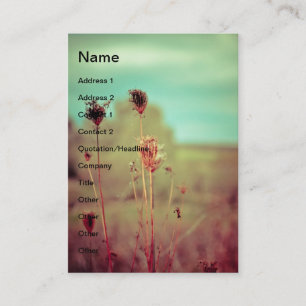 Carte De Visite plantes vintages