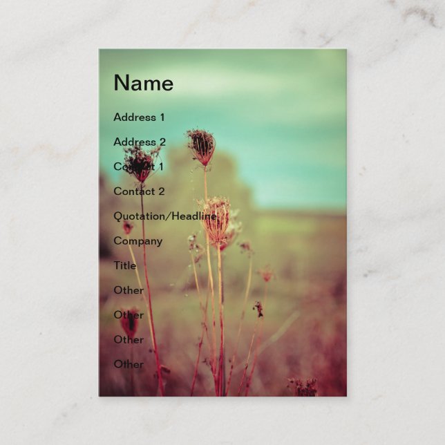 Carte De Visite plantes vintages (Devant)