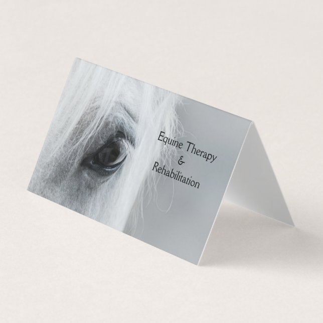 Carte De Visite Platinum Equine Custom Folded Business Cards (Devant)